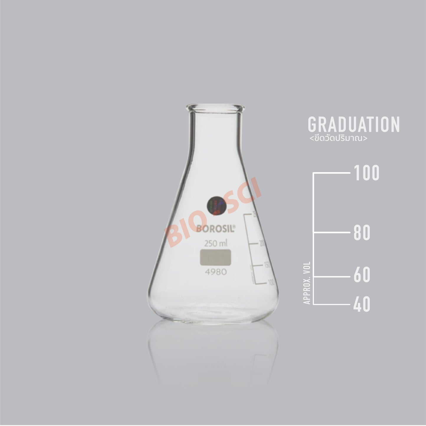 Erlemeyer Flask ( Borosil® )